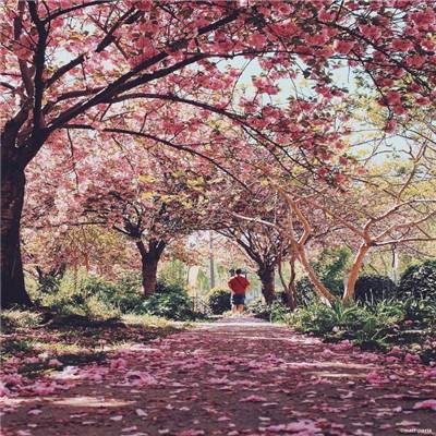 江南体育下载app下载