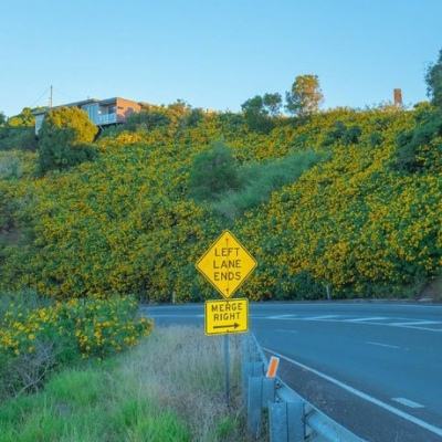 爱游戏网页版官方入口