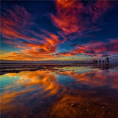 凤凰彩票app下载手机版