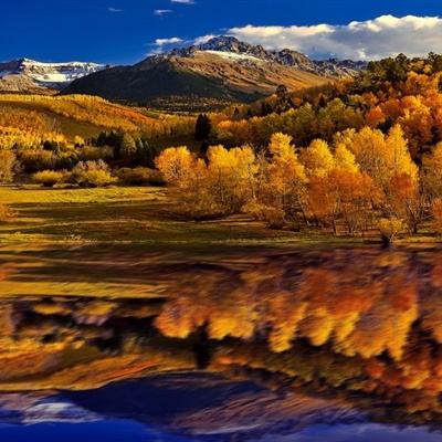 竞彩足球app官方下载手机版截图