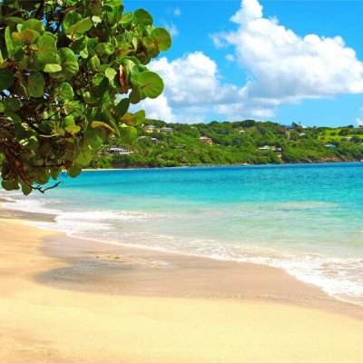 爱游戏·体育APP截图