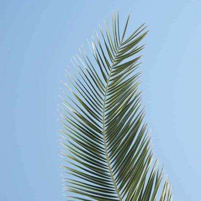 4688美高梅登录中心