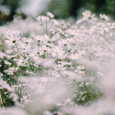 爱游戏网页版官方入口