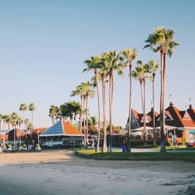 kok官方体育app下载