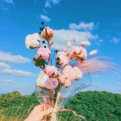 爱游戏·体育APP