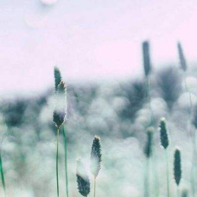 凤凰彩票app下载手机版截图