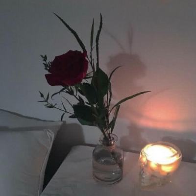 365平台官方版下载下载手机版