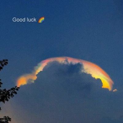 凤凰彩票app下载手机版